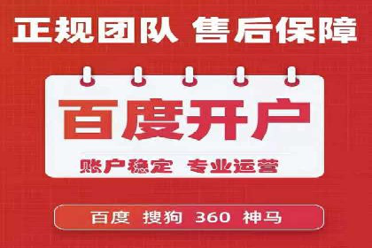 sem运营公司：效果为王的策略